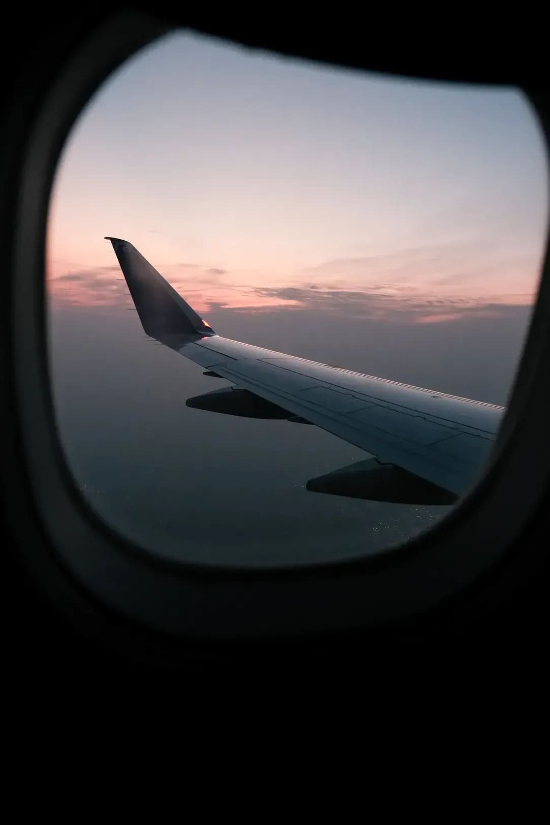 Sakura Breeze Travel 14