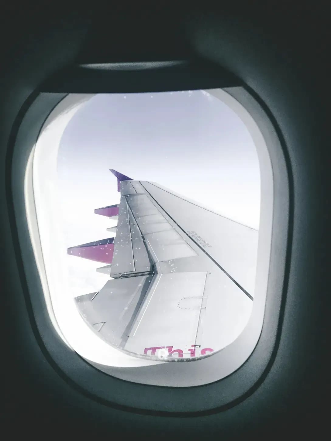 Sakura Breeze Travel 2